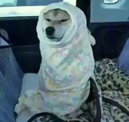 作家匪我思存微博怼抄袭者流潋紫,维权道路道阻且长,如果这种风气不遏制,是对原著作者最大的不公平搜狐娱乐搜狐网