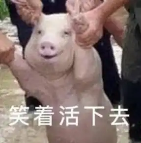 求原谅表情包搞笑图片小