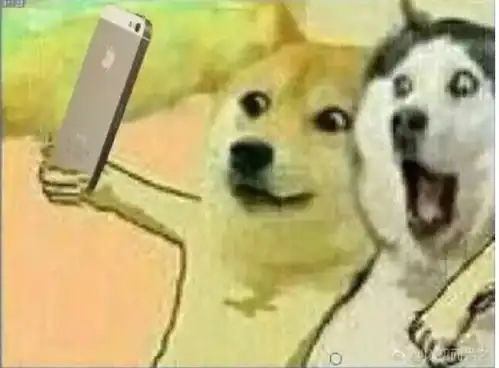 早啊表情包狗子