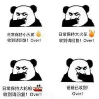 日常续大火花表情包微信头像图片大全