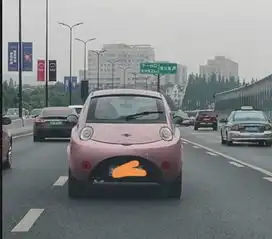 爆笑gif难道是上古神兽的遗骸