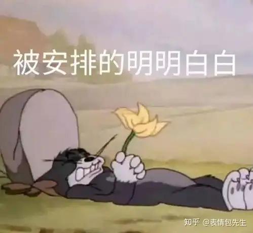 健忘图片表情包搞笑重获