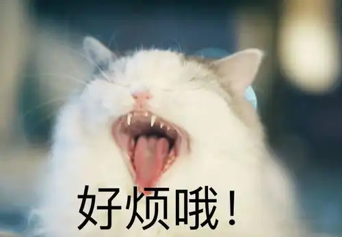 教室里发生过哪些惊为天人的事