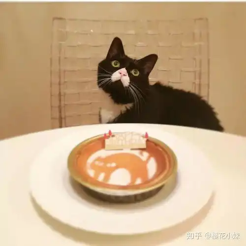 一只嘴上有心心的网红日本猫,成了表情包新一届大佬