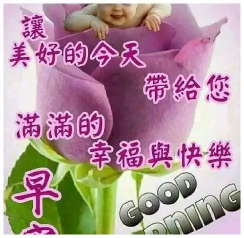 清晨漂亮早上好问候祝福语美图,早安带字带表情祝福语图片