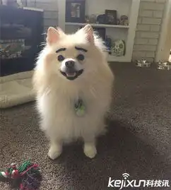 网友恶搞为狗狗画上眉毛画面太美我不敢看