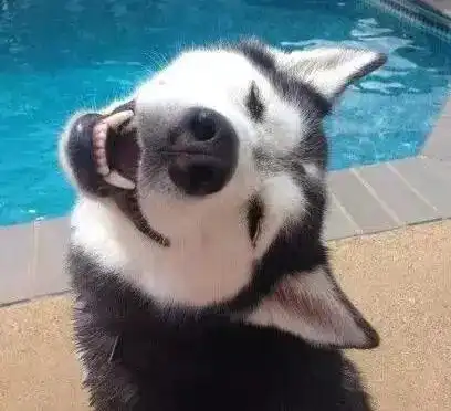 我上辈子是欠了多少钱,这辈子才会和ta在一起