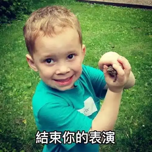 跟魏璎珞学职场攻略认真你就输了