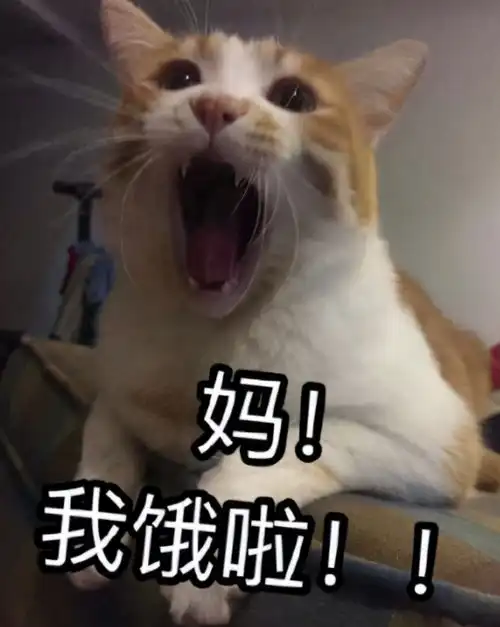 别喊妈她和7岁的儿子签下这份条约,结果出人意料