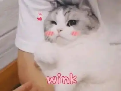 生活从不亏待那些充满热情和努力奋斗的人