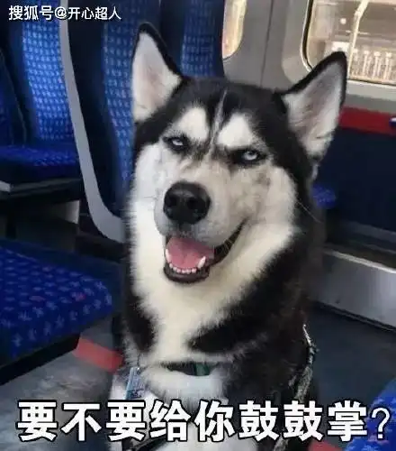 恶搞兔子表情包开心一笑