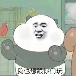 过年亲戚问你在哪上学怎么办当然是我被全球顶级项目录取啦