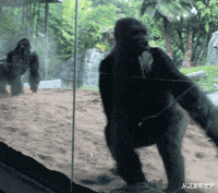 拔河老太太表情包