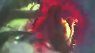 蝴蝶君与剑随风及时救援公孙月西川龙鸣等人