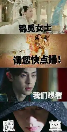 八月的香蜜,七夕的你,表情包大作战