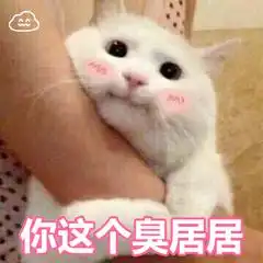 搞笑表情包你跟我说这些没用用,因为我只是一只猫