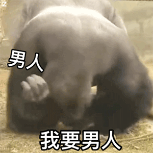 wan表情包我的小熊饼干