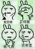 男生表白表情包,一辈子很短,找一个有趣的人