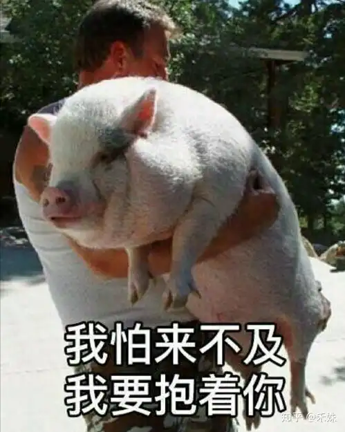 有一个人愿意跟你用情侣头像是一种怎样感觉