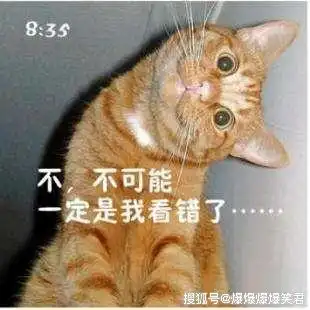 爆笑段子女神电脑旧了,一直想换新,可苦于没有理由爸爸