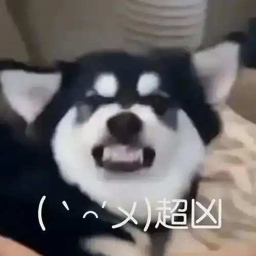 发给对象的表情包,快来保存吧