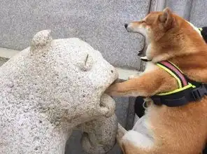 哈士奇柴犬搞笑表情包戏