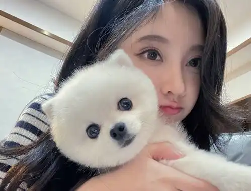 熊qq表情包起床了