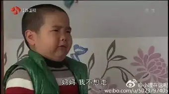 谢飞机你妈叫你回家啃猪蹄新晋表情包来了,你怎能错过