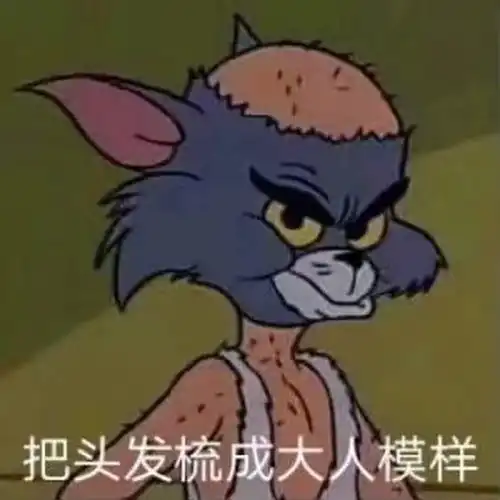 表情猫和老鼠表情包精选把头发梳成大人模样病患者表情