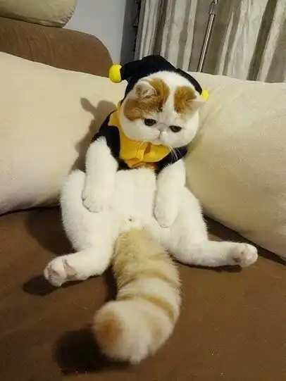 现在的我上不去的是工资下不去的是堆糖,美好生活研究所