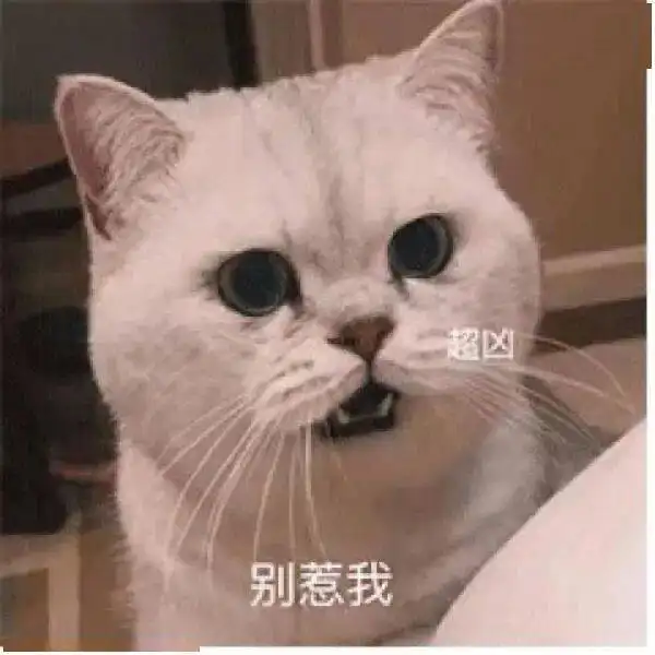 沙雕表情你在教我做事