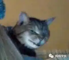 红包表情包整人沙雕