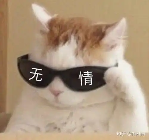 如何评价清平乐里的张贵妃