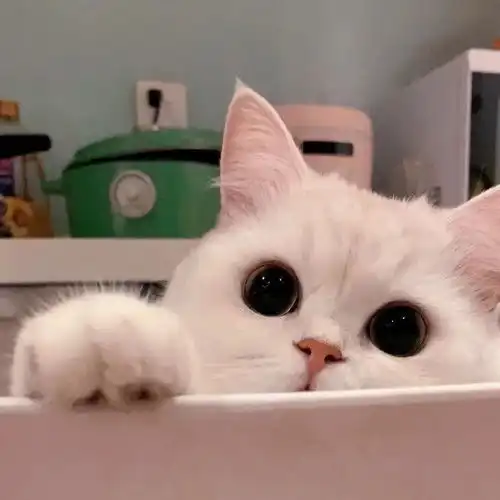 你买房亏了多少