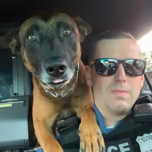 轻松一刻从天堂到低谷,不过一个字