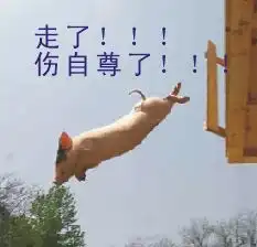 qq搞笑表情包推荐群野生