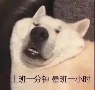 你就当副驾坐了条狗被驾校教练笑到昏厥...