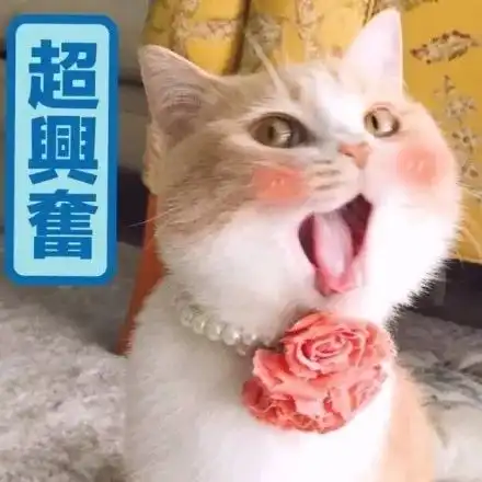 气象32.9速冻模式继续一南一北将再迎降雪