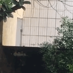 斗图搞笑表情包动态gif