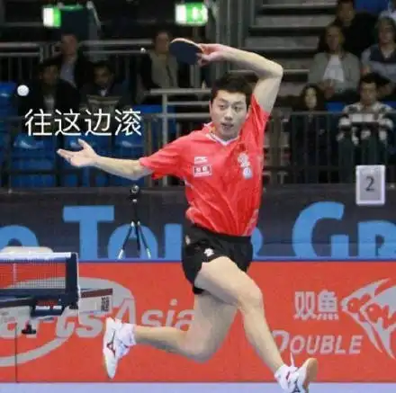 许昕搞笑表情包,许昕搞笑动态图gif快来看这里有个憨憨