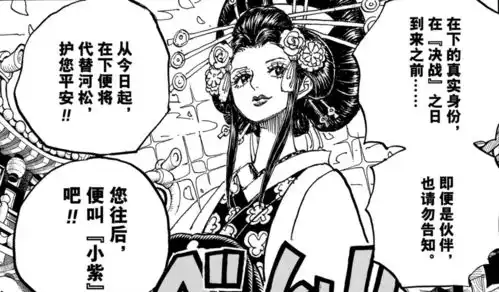 海贼王人物表情包小紫