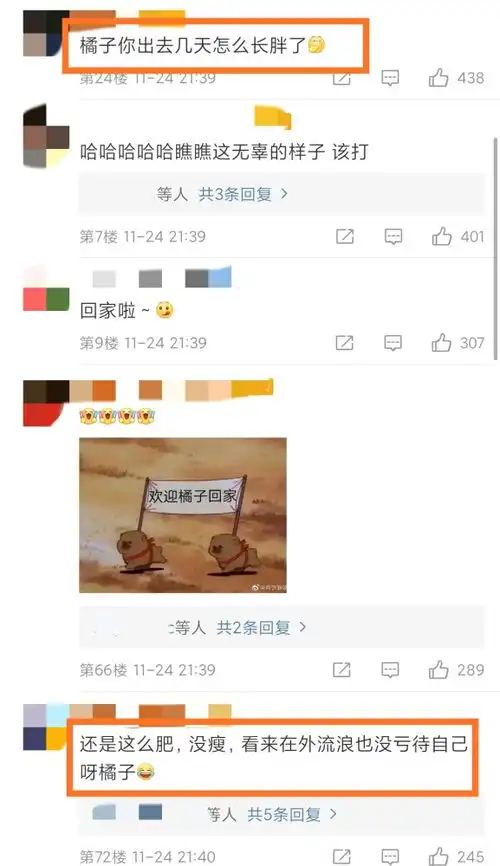 杨超越猫丢失两周后找回,发文感谢帮忙,粉丝为猫做专属表情包欢迎回家