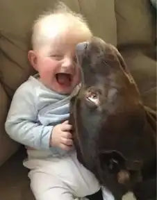 养了狗才知道,让孩子变贴心的是狗狗