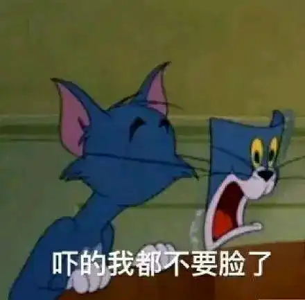 搞笑微信表情包猫咪猫和
