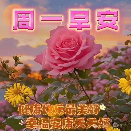 2025年4月14日周日一早上好,春天早安问候图片和早安祝福,祝大家周一愉快