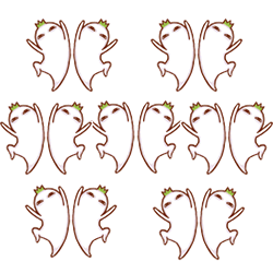 红的就是你邵阳市首届网红大赛开始招募啦