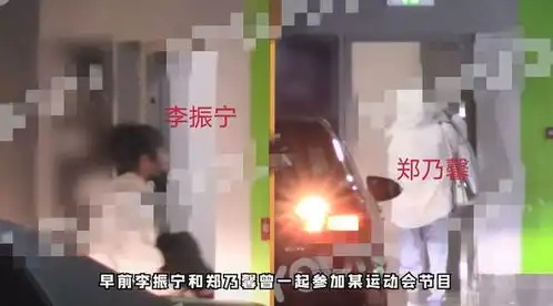 李振宁郑乃馨