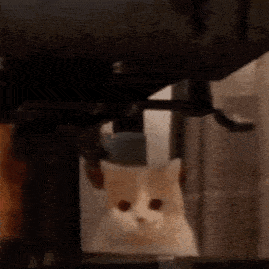 搞笑表情包拿来吧你