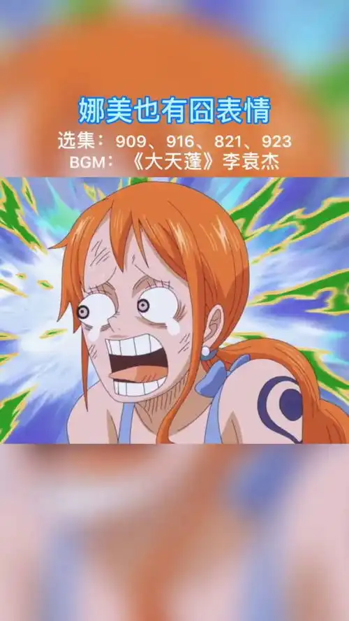 海贼王竟然还有人没看过娜美的囧表情不会吧