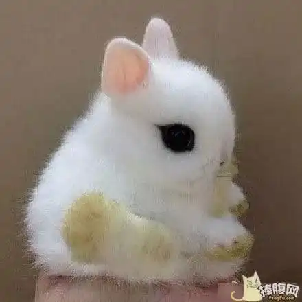 笑一笑科目四考题之谁让谁孙子